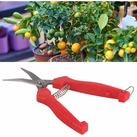 Sécateur de jardinage pour légumes et arbres fruitiers, lames droites en acier inoxydable (1/5)