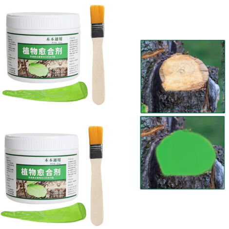 2 Pièces Mastic Cicatrisant Arbre 500g avec Pinceau – Pâte Cicatrisante pour Greffe Arbre, Réparation du Tronc et Protection des Arbustes et Plantes de Jardin (Vert) (1/5)