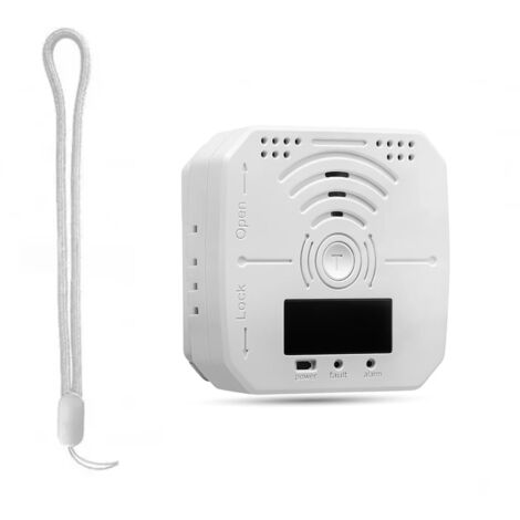 Détecteur de Monoxyde de Carbone à Piles – Alarme CO avec Écran Digital et Surveillance en Temps Réel (1/5)