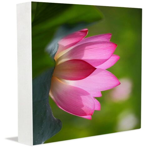Cadre photo, décorations de Pâques pour le bureau, panneau en bois décoratif pour mamans, décoration de bureau de style ferme (1/5)