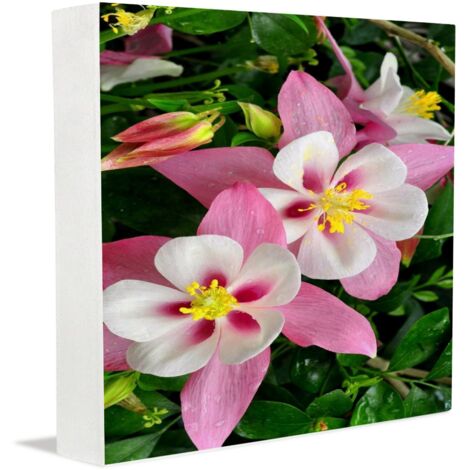 Cadre photo commémoratif, décoration de porte de bureau pour hommes et femmes d'affaires, idéal pour la Saint-Valentin, un mariage, un anniversaire, la fête des Mères et des Pères. (1/5)
