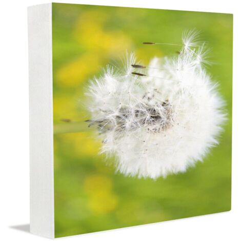 Plaque commémorative, décoration de bureau pour homme, panneau en bois décoratif pour maman, papa, petit ami, cadeau d'anniversaire. (1/5)
