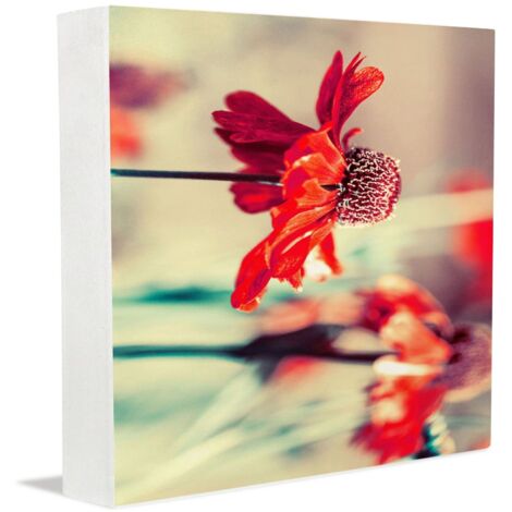 Cadre photo, décoration murale pour bureau, panneau en bois pour personnes d'âge mûr, décoration et présentoir pour bureau à domicile (1/5)