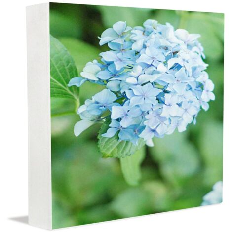Cadres photo commémoratifs, cadeaux de fin d'études pour lui, panneaux et plaques décoratifs pour la maison, le bureau, les étagères et la chambre. (1/5)