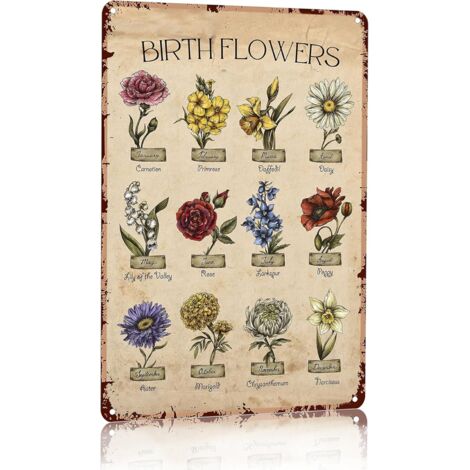 Cadeaux de Jardin Plaques de Jardinage Vintage Plaque Étaine Fleur du Mois de Naissance pour Mère Grand-mère, pour Maison, Jardin, Serre, Salon, Chambre, Cour 20X30 cm (1/5)