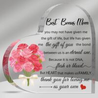 Plaque acrylique transparente humoristique – Cadeau Noël pour maman, belle-mère, marâtre, cadeau belle-fille beau-fils, souvenir déco anniversaire mariage fête des mères - 10x10x1cm