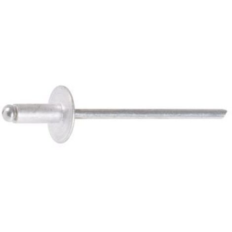 Au$250 Rivet Rivet Aveu.ag5 Tl 4,8x18 / 250