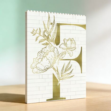 Cadre en blocs de construction, cadeau pour anniversaire (1/5)