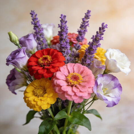Semences Décoratives – Lisianthus Double Zinnia Lavande – 3000 pcs (1/5)