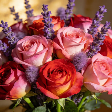 Graines Florales Mélange – Roses Variées Lavande – 2500 pcs (1/5)