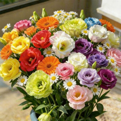 Graines Fleurs pour Bouquet – 2000 Lisianthus Doubles + 2000 Camomille + 400 Calendula, Mélange Coloré Non-OGM, Idéal Fleurs Coupées (1/5)