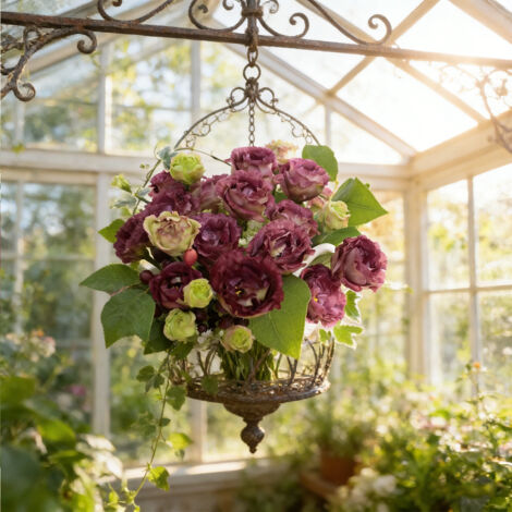 Graines de Lisianthus Couleur Thé – 1000 pcs, Eustoma au Style Vintage, Fleurs Doubles Raffinées pour Jardin (1/5)