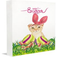Cadres photo commémoratifs, cadeaux pour collègues, décoration pour nouveaux parents, présentoir d'anniversaire à poser sur un bureau ou une table