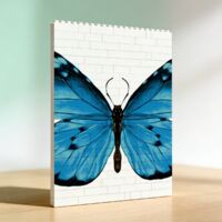 Cadre romantique, cadeau pour couple