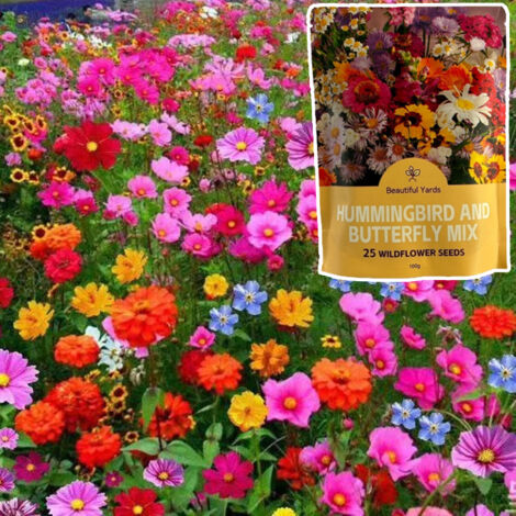 Graines de Fleurs Mélangées 100 g – Plantation Jardin, Floraison Colorée & Facile (1/5)