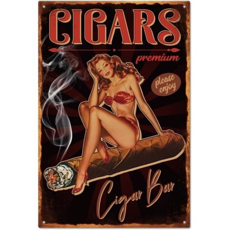 Plaque métallique en étain vintage de Pin Up Lady 20x30 cm, Plaque de porte de chambre en étain rétro drôle, Plaques de cave, Plaque d'art, Affiche, Décoration murale pour les bars à la maison, les ca (1/5)