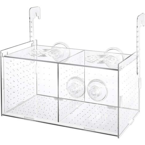 Erhöhtes Aquarium aus Klarglas für kleine Fische und Garnelen, Inkubator für die Wasserzucht (1/5)