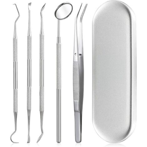 Kit d'hygiène dentaire - 5 pièces en acier inoxydable argenté