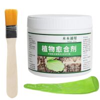 Pâte à enduire pour plaies d'arbres et bonsaïs, mastic de taille, produit d'étanchéité avec pinceau