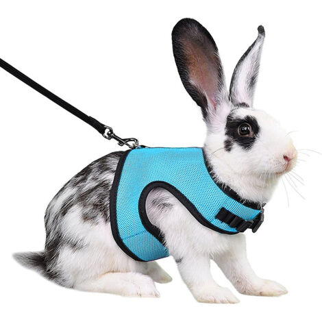 Harnais élégant et réglable avec laisse élastique pour lapins, taille moyenne, convient aux lapins de petite taille.