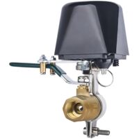 Robinet d'eau intelligent WiFi avec minuterie, arrêt automatique, pour domotique.