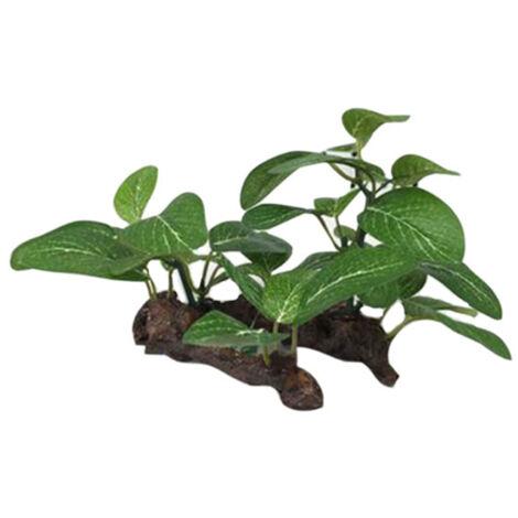 Plante artificielle pour aquarium, décoration pour aquarium, imitation bois et plastique. (1/5)
