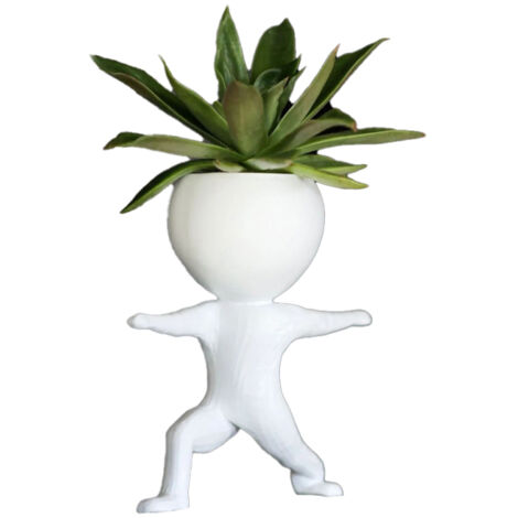 Jolis pots de fleurs pour plantes succulentes, décoration créative pour tapis de course, yoga, musculation, bureau, maison, petits pots (1/5)