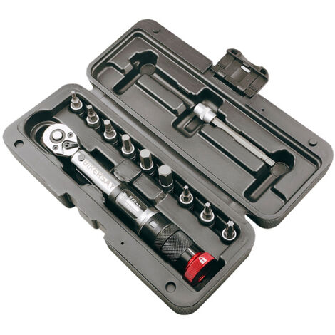 Clé dynamométrique pour vélo, tournevis 1/4 pouce, clé Allen, jeu de douilles, kit d'outils de réparation et d'entretien de vélo 2-20 Nm avec boîte de rangement
