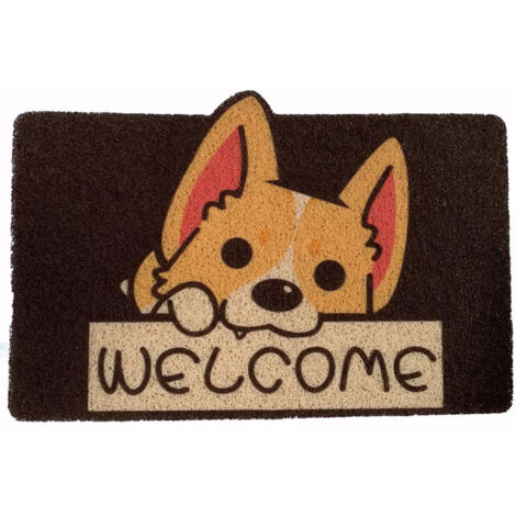 Tapis d'entrée antidérapant pour porte ou pédale – Nettoyage facile, usage intérieur extérieur (1/5)