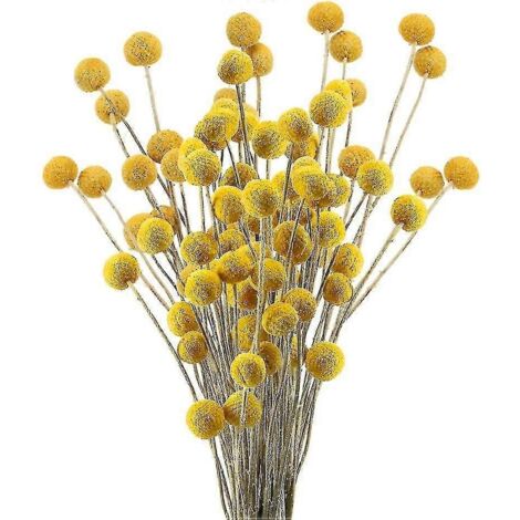 30 getrocknete Blumen, echte Naturblumen, künstliche Blumen (1/4)
