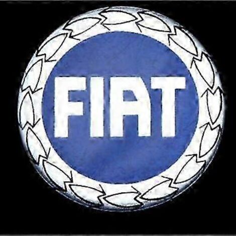 4 Stück 50 mm Radnabenkappen für Fiat 500, Staubschutzabdeckung, Emblem, Abzeichen, Unto Stilo Bravo Ducato Freemont