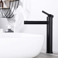 Noir Robinet Salle de Bain Mitigeur pour Vasque Haut Bec Pivotant 360° Robinetterie de Lavabo en Acier Inox Design Moderne