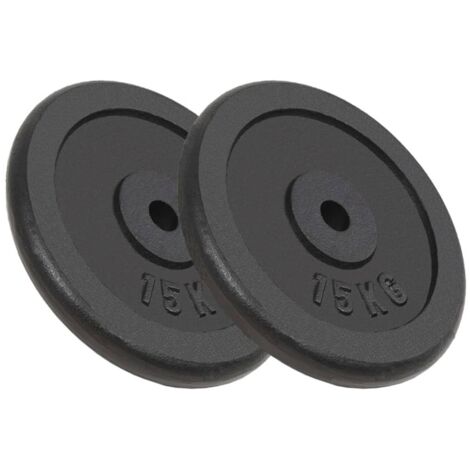 Hantelscheiben 2 Stk. 2x15 kg Gusseisen vidaXL