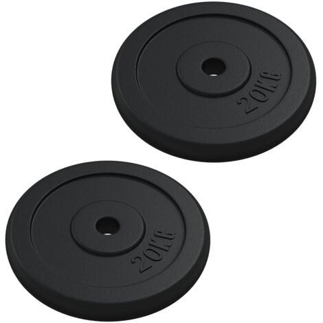 Gewichtsscheibe 40 kg Gusseisen