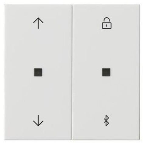 Gira Jalousie- + Schaltuhr Bluetooth Sys.55 rws 536703 (1/5)