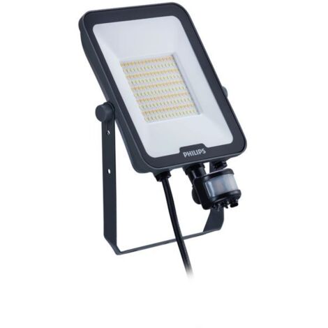 Philips BVP167 LEDinaire Außenprojektor grau 50W