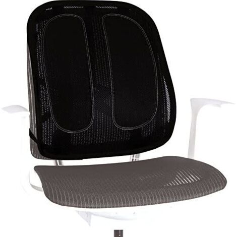 Fellowes Ergonomischer Rückenstütze Schwarz Graphit (1/4)