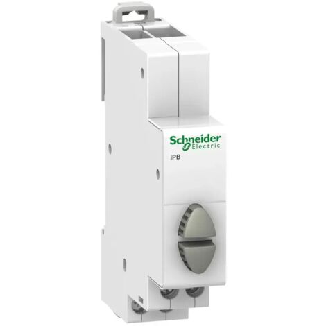 Schneider A9E18035 Acti9, iPB Doppeldruckknopf 1 NO grau + 1 NO grau 20A 230VCA