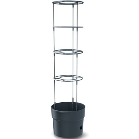 Prosperplast Tomatenpflanztopf mit Rankhilfe Tomato Grower Anthrazit 29,5 cm