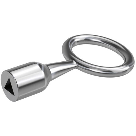 Basi 301D-8 Dornschlüssel Silber (1/3)