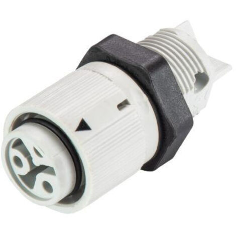 Wieland Electric 46.031.5054.0 Rundstecker Buchse, Einbau Gesamtpolzahl: 2 Serie (Rundsteckverbinder