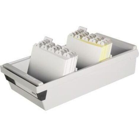 Karteikasten 17,7 x 14 x 36 cm (B x H x T) DIN A6 quer 1.300 Karten Polystyrol lichtgrau 2 Stützplatten