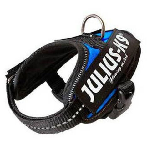 Julius Arns IDC Baby 1 Blue Hund
