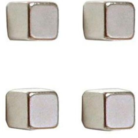 Magnet 10 x 10 x 10 mm (B x H x T) 3kg Neodym silber 4 St./Pack. (1/3)