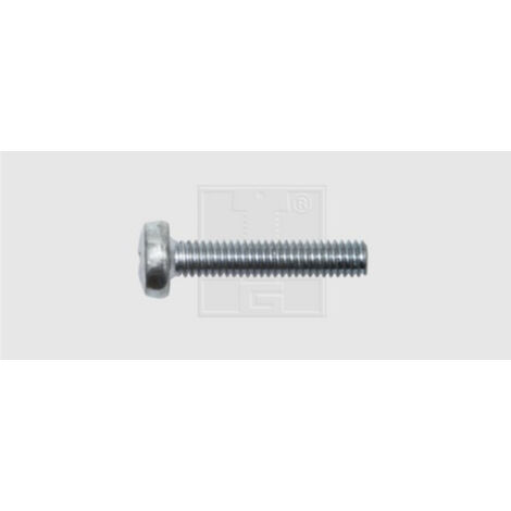 SWG 4009146053174 Gewindeschrauben-Sortiment M6 12 mm Kreuzschlitz Phillips DIN 7985 Stahl verzin (1/2)