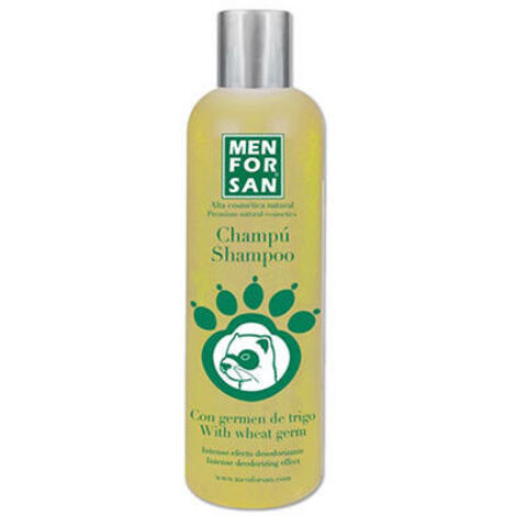 Menforsan 300ml Deodorant ChampÐ