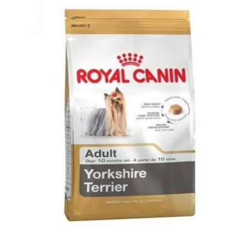 Essen, Royal Canin Yorkshire Terrier Erwachsener erwachsener Hunde (ab 10 Monaten) - 500 g