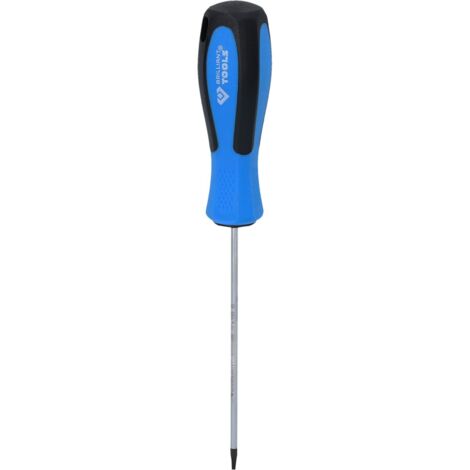 BRILLIANT TOOLS Schraubendreher TORX T8 x 100 mm - BT031039 (1/5)