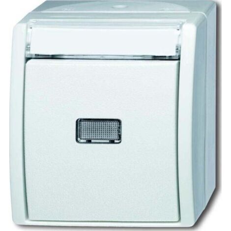 Busch-Jaeger Taster Schliesser 1-pol. 2621 WN-54-201 (1/5)