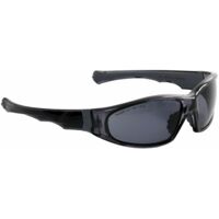 EAGLE Schutzbrille EAGLE Pol Schwarz/ Grau
